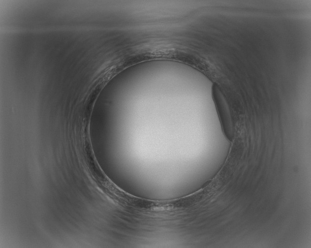 X0000060780744200511101008
