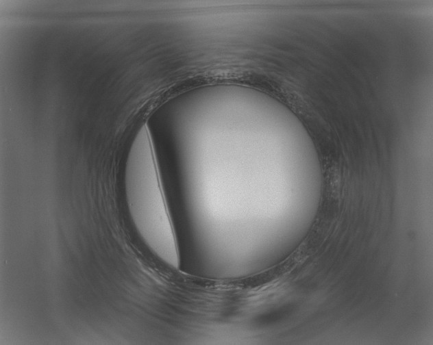 X0000060780746200511101008