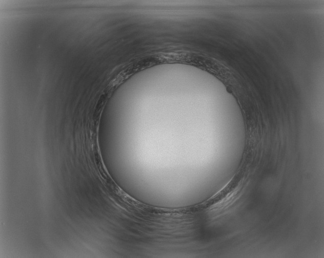 X0000060780749200511101008