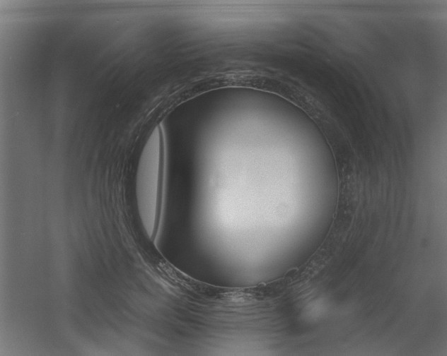 X0000060780750200511101008