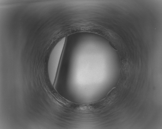 X0000060780752200511101008
