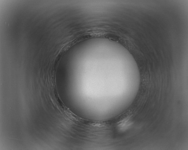 X0000060780755200511101008