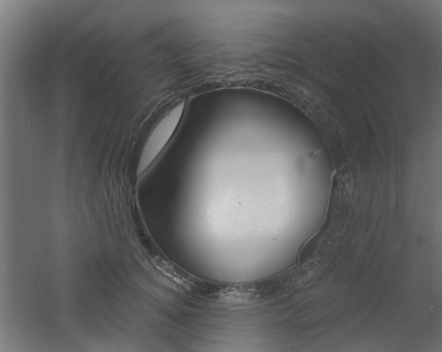 X0000060780756200511101008