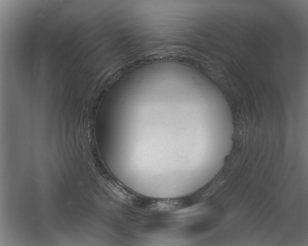 X0000060780758200511101008