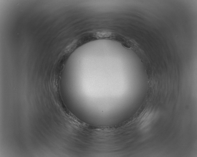 X0000060780763200511101008