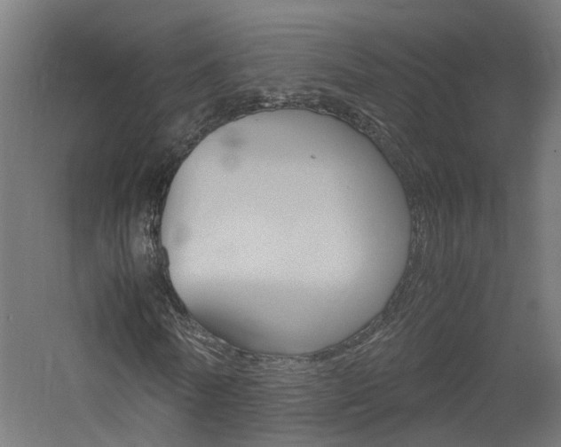 X0000060780770200511101007