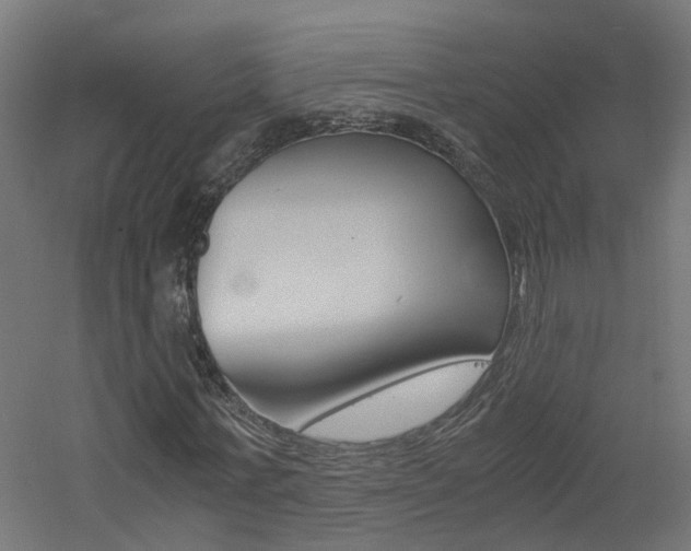X0000060780771200511101007
