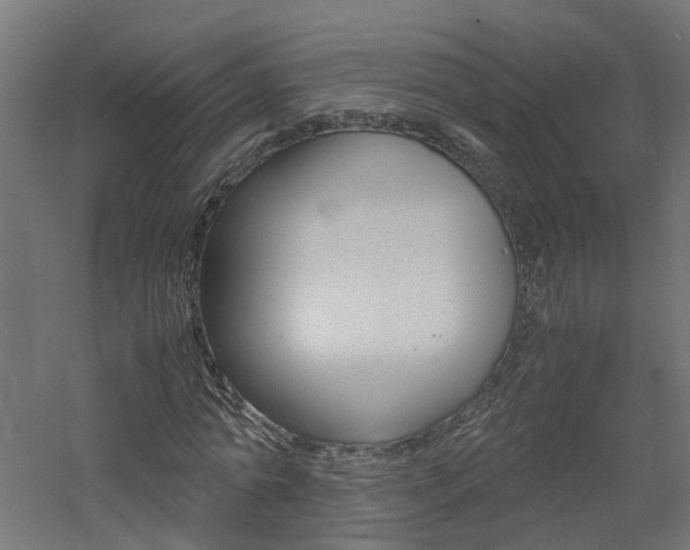 X0000060780774200511101007