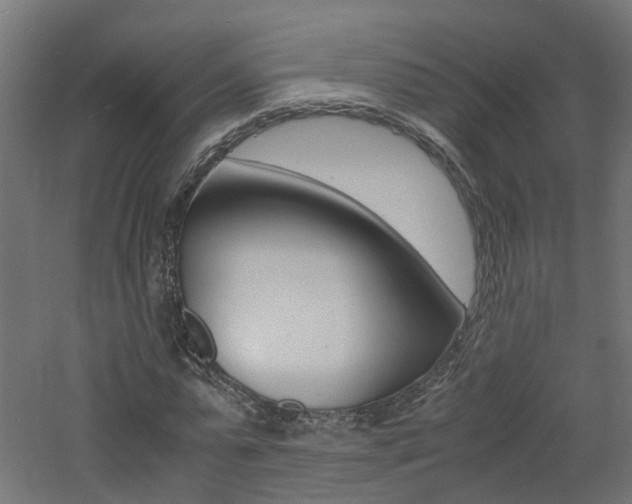 X0000060780775200511101007