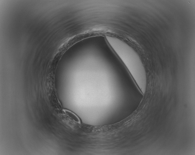 X0000060780776200511101007