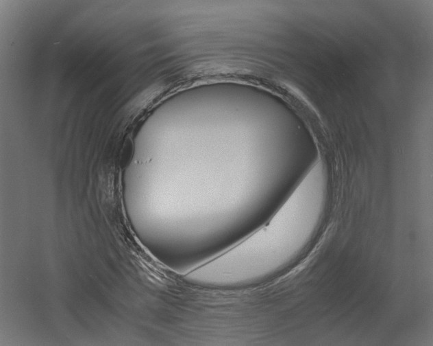 X0000060780777200511101007