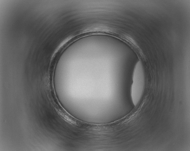 X0000060780780200511101007