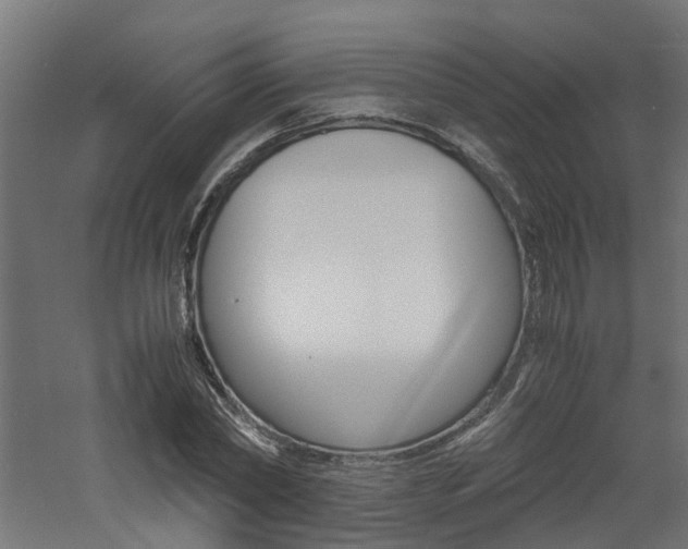 X0000060780782200511101007