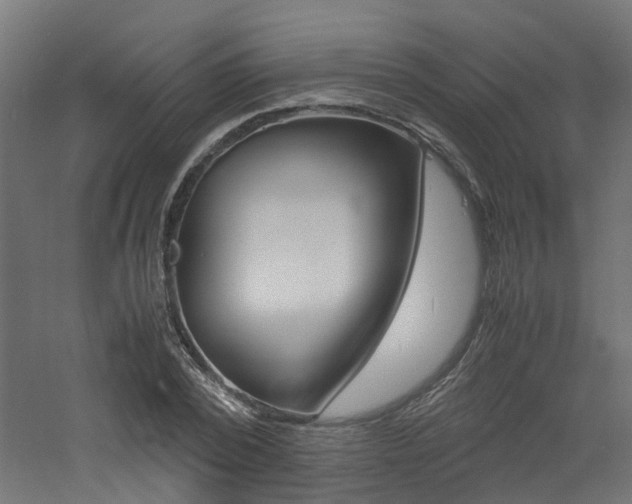 X0000060780784200511101007
