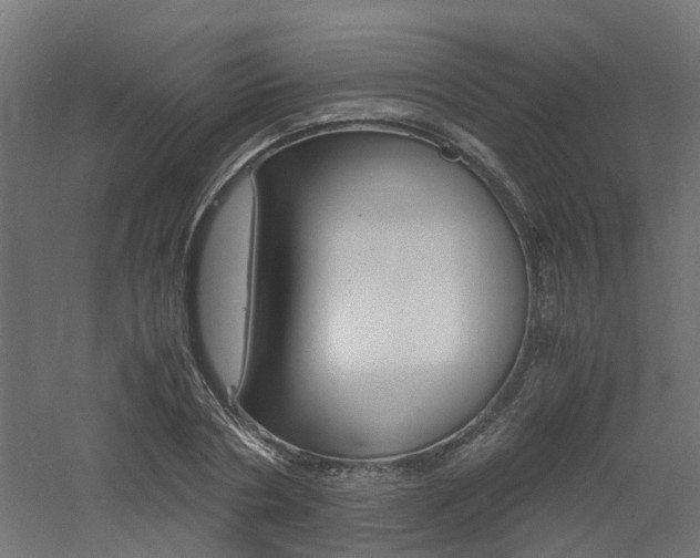 X0000060780786200511101007