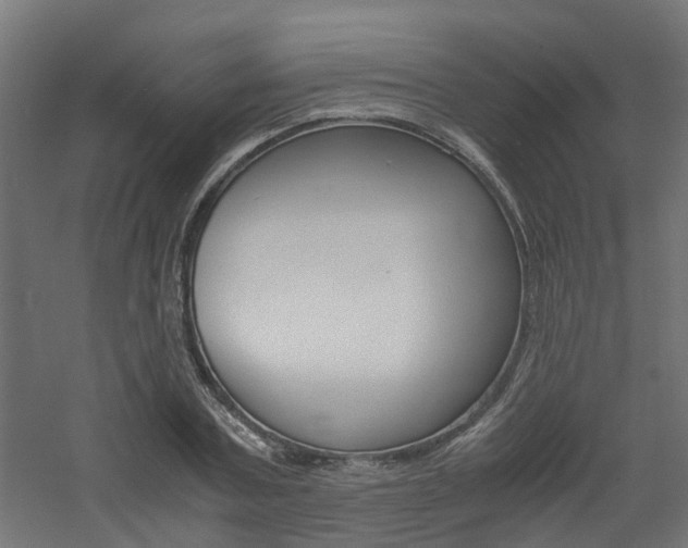 X0000060780787200511101007
