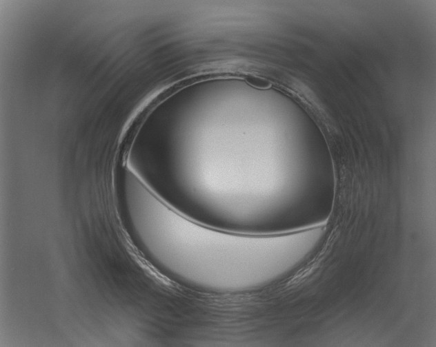 X0000060780788200511101007