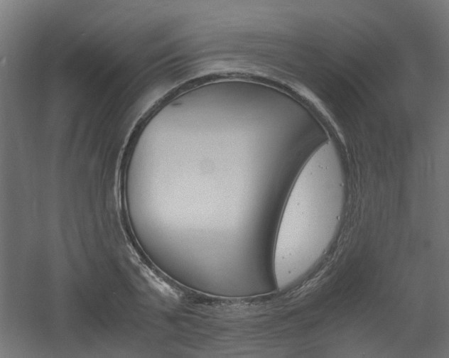 X0000060780791200511101007