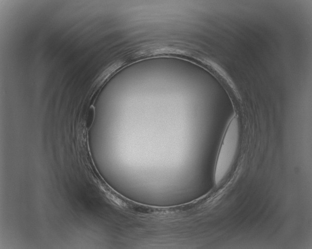 X0000060780793200511101007
