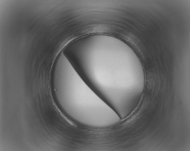 X0000060780794200511101007