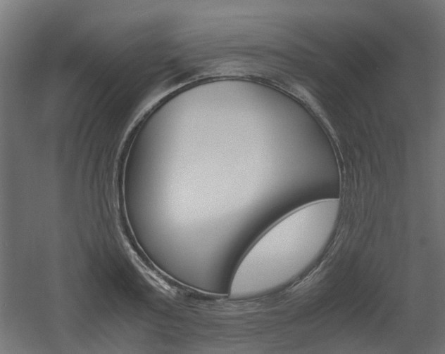 X0000060780795200511101007