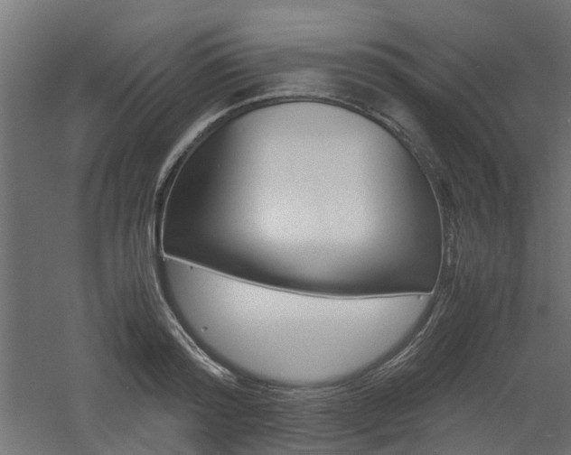 X0000060780796200511101007