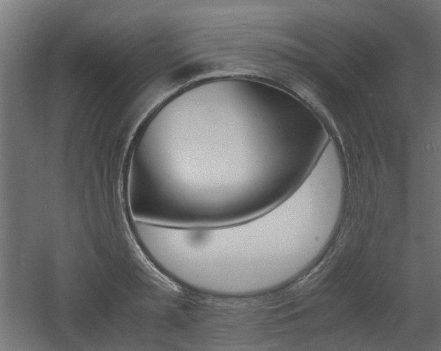 X0000060780797200511101007