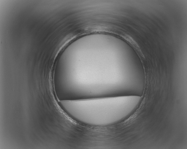 X0000060780798200511101007