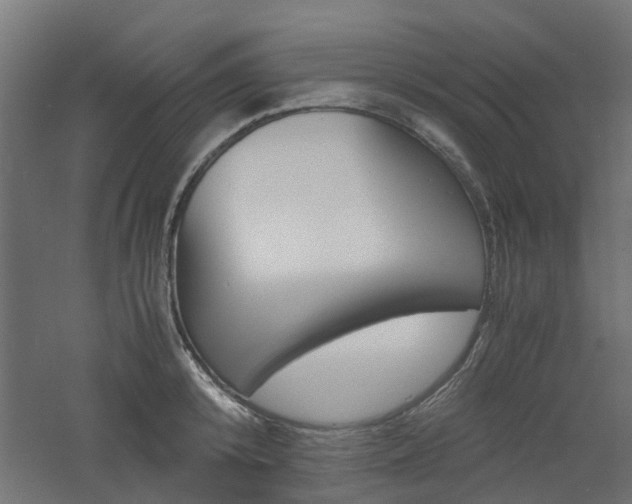 X0000060780800200511101007