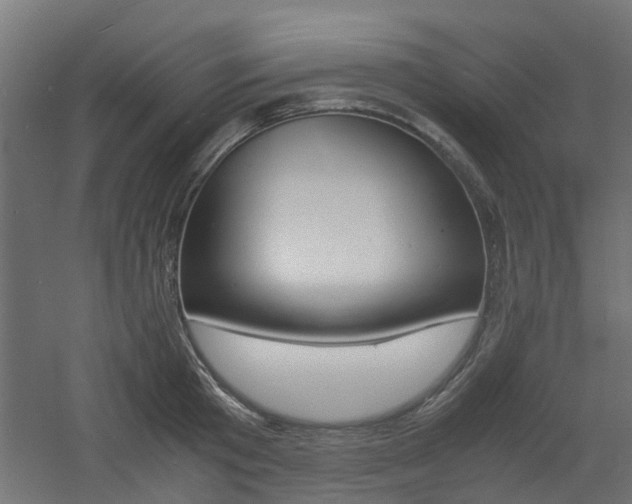 X0000060780801200511101007