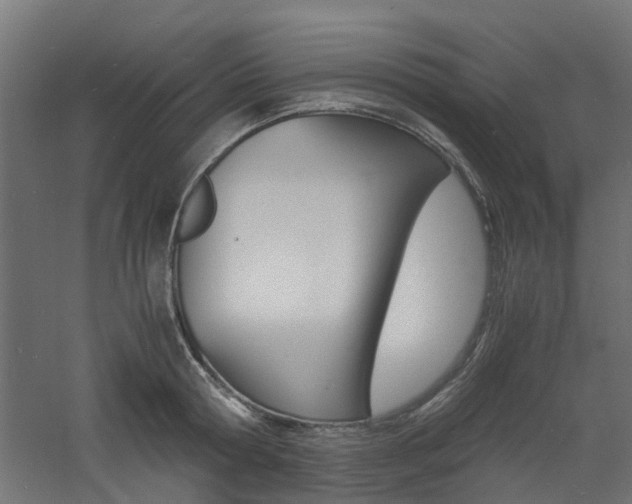 X0000060780802200511101007