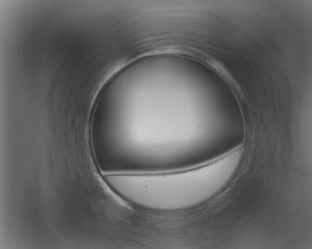 X0000060780805200511101007