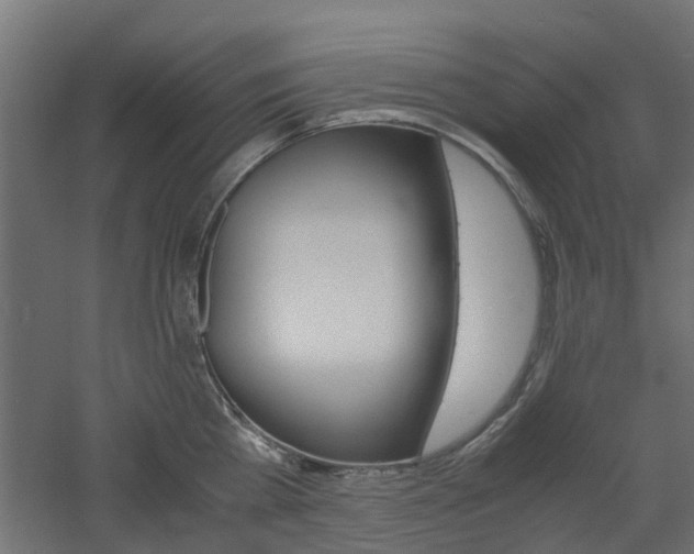 X0000060780809200511101007