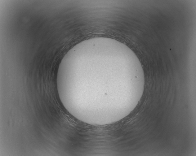 X0000060780818200511101006