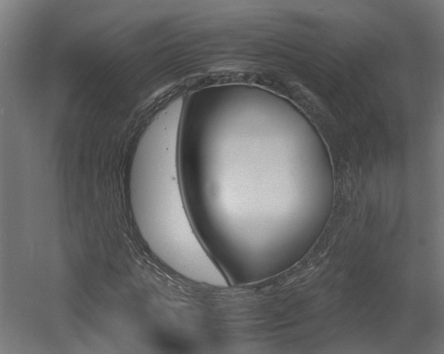 X0000060780821200511101006
