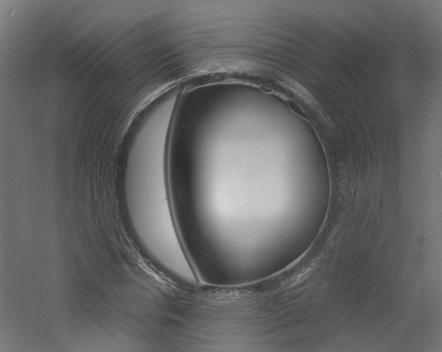 X0000060780826200511101006