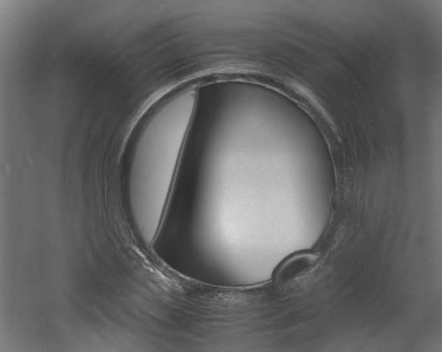 X0000060780829200511101006