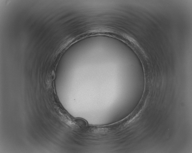 X0000060780833200511101006