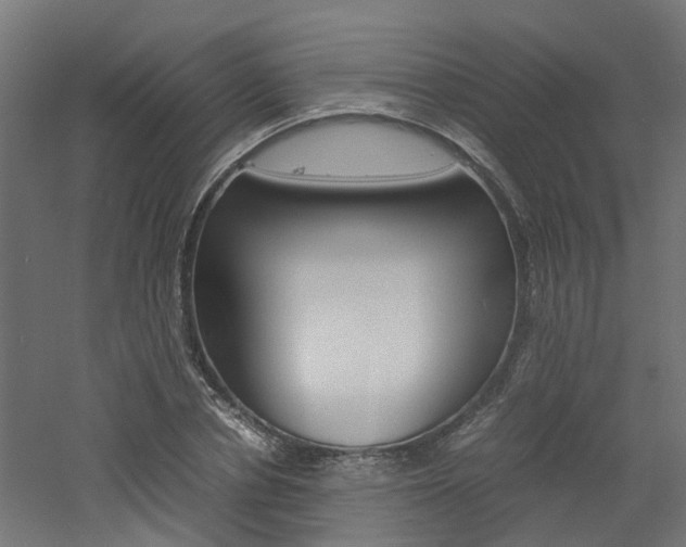 X0000060780834200511101006