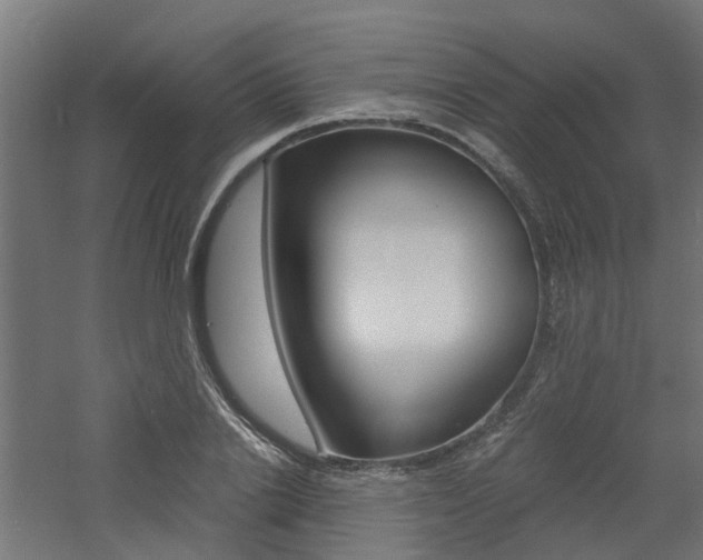 X0000060780838200511101006