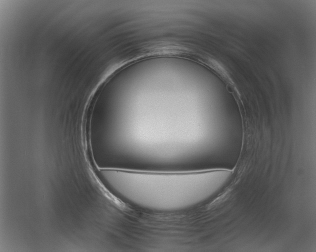 X0000060780843200511101006