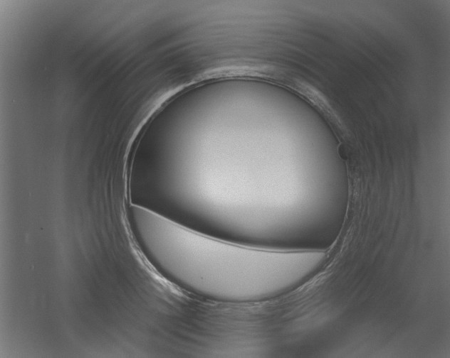X0000060780844200511101006