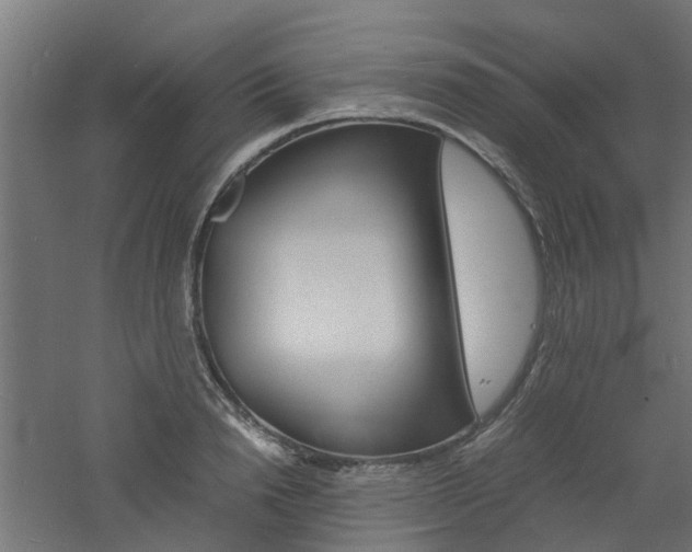 X0000060780846200511101006