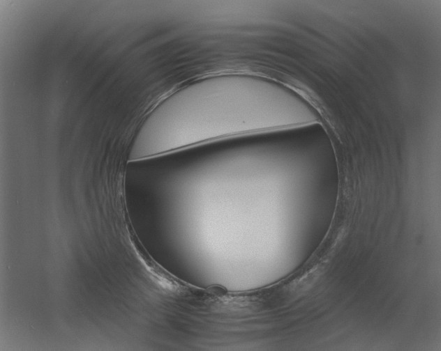 X0000060780849200511101006