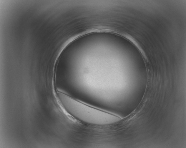 X0000060780861200511101006