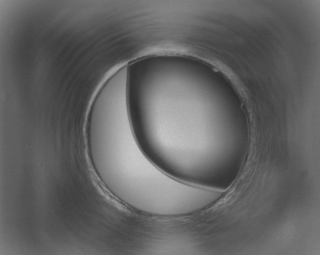 X0000060780864200511101006