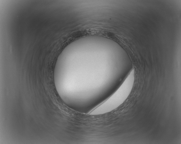 X0000060780865200511101006