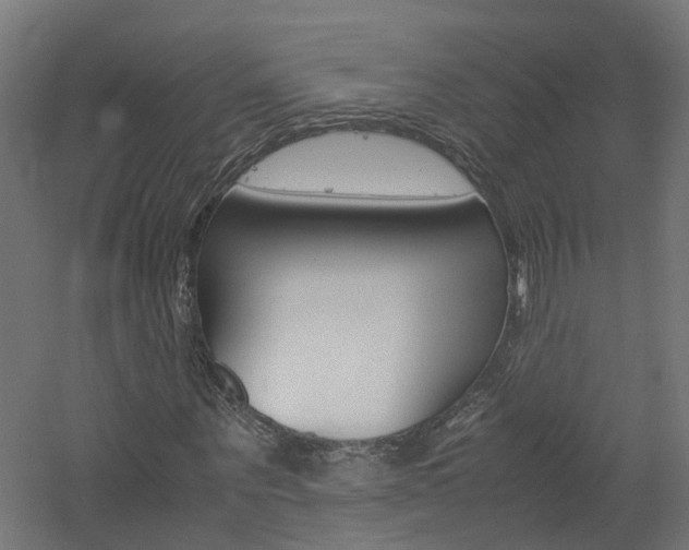 X0000060780867200511101006
