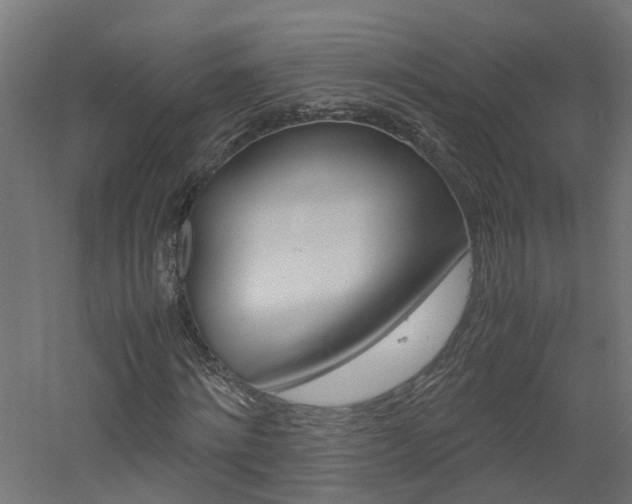 X0000060780868200511101006