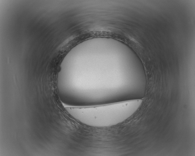 X0000060780870200511101005